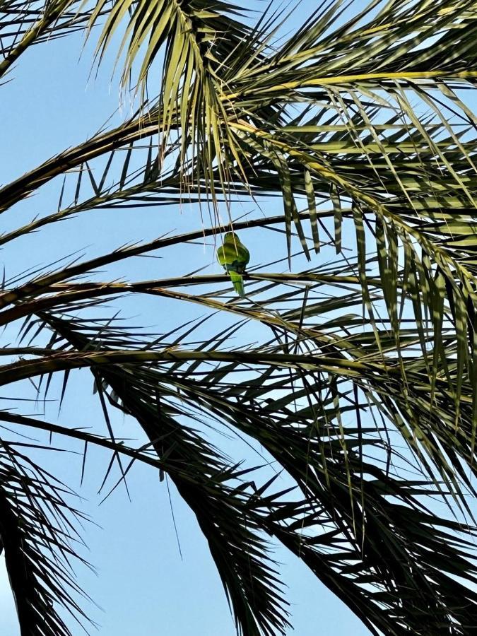 Marbella Beachfront Apartment エクステリア 写真